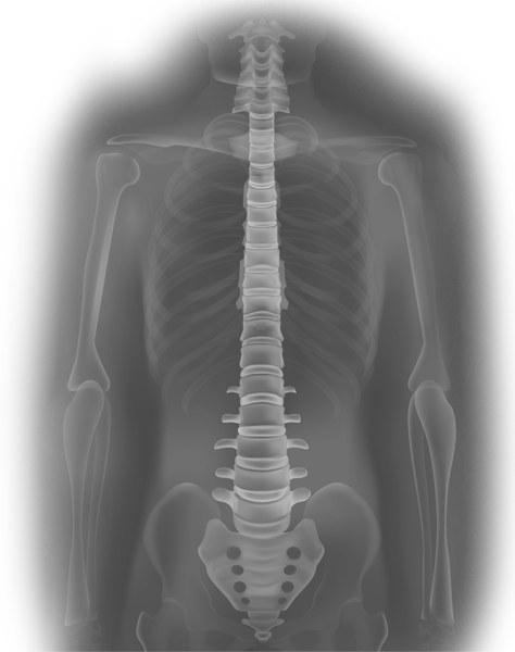 Future Joint Transformando o Cuidado com a Saúde Musculoesquelética